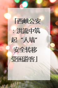西峡公安：洪流中筑起“人墙” 安全转移受困游客