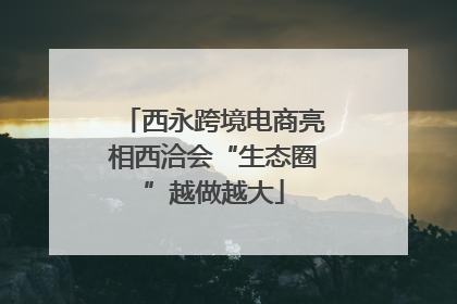 西永跨境电商亮相西洽会“生态圈”越做越大