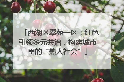 西湖区翠苑一区：红色引领多元共治，构建城市里的“熟人社会”