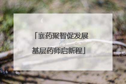 襄药聚智促发展 基层药师启新程