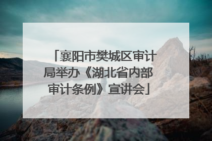 襄阳市樊城区审计局举办《湖北省内部审计条例》宣讲会