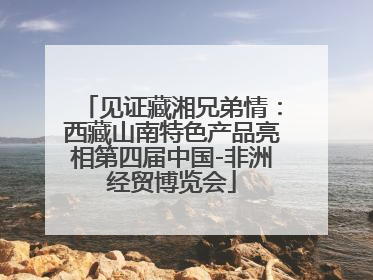 见证藏湘兄弟情：西藏山南特色产品亮相第四届中国-非洲经贸博览会