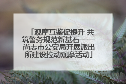 观摩互鉴促提升 共筑警务规范新基石——尚志市公安局开展派出所建设拉动观摩活动