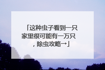 这种虫子看到一只家里很可能有一万只，除虫攻略→