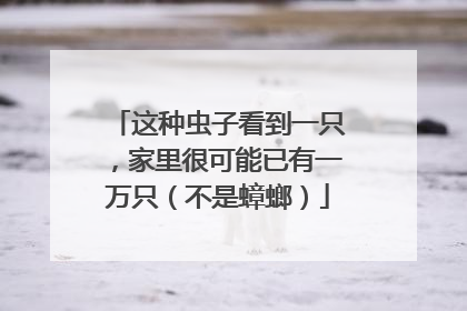 这种虫子看到一只，家里很可能已有一万只（不是蟑螂）