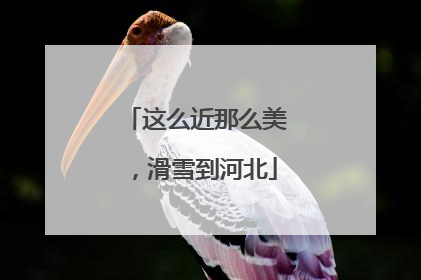 这么近那么美，滑雪到河北
