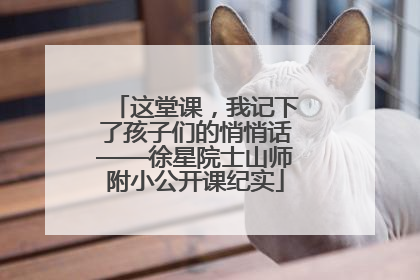 这堂课，我记下了孩子们的悄悄话——徐星院士山师附小公开课纪实