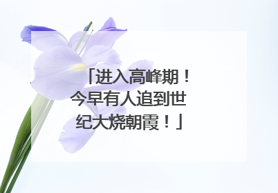 进入高峰期！今早有人追到世纪大烧朝霞！