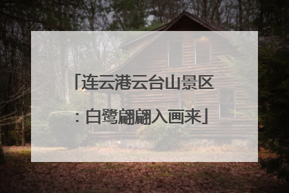连云港云台山景区：白鹭翩翩入画来