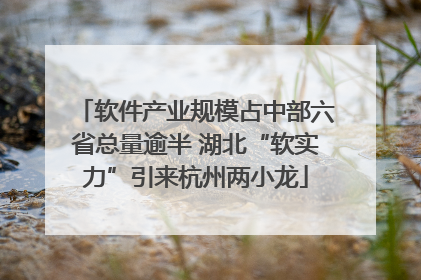 软件产业规模占中部六省总量逾半 湖北“软实力”引来杭州两小龙