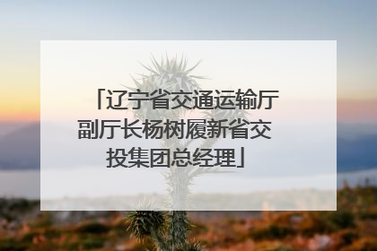 辽宁省交通运输厅副厅长杨树履新省交投集团总经理