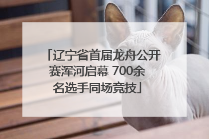 辽宁省首届龙舟公开赛浑河启幕 700余名选手同场竞技