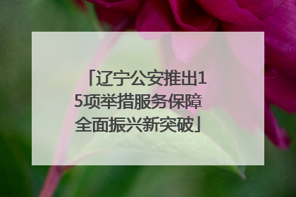 辽宁公安推出15项举措服务保障全面振兴新突破