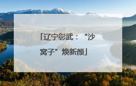 辽宁彰武：“沙窝子”焕新颜