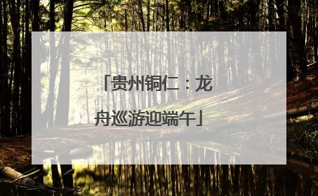 贵州铜仁：龙舟巡游迎端午