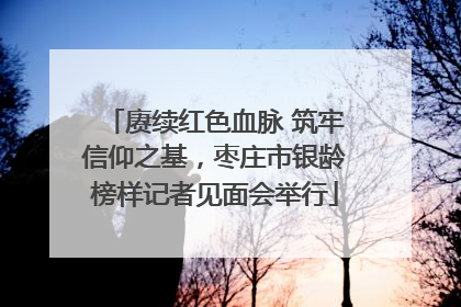 赓续红色血脉 筑牢信仰之基，枣庄市银龄榜样记者见面会举行