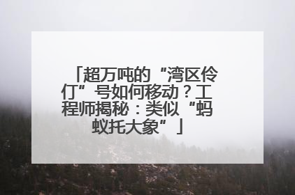 超万吨的“湾区伶仃”号如何移动？工程师揭秘：类似“蚂蚁托大象”