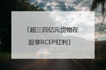 超三百亿元货物在厦享RCEP红利