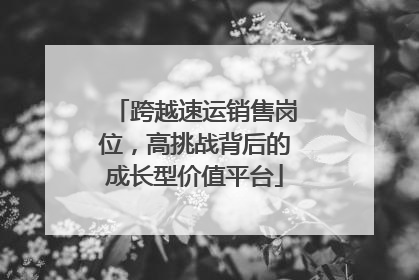 跨越速运销售岗位，高挑战背后的成长型价值平台