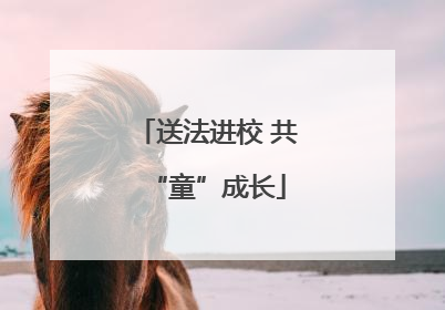 送法进校 共“童”成长