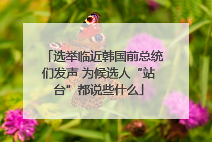 选举临近韩国前总统们发声 为候选人“站台”都说些什么