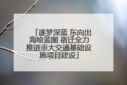 逐梦深蓝 东向出海绘蓝图 宿迁全力推进重大交通基础设施项目建设
