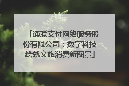 通联支付网络服务股份有限公司：数字科技绘就文旅消费新图景
