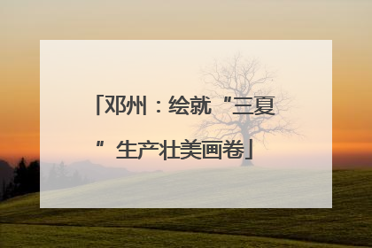 邓州：绘就“三夏”生产壮美画卷