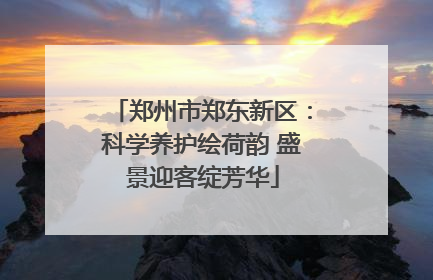 郑州市郑东新区：科学养护绘荷韵 盛景迎客绽芳华