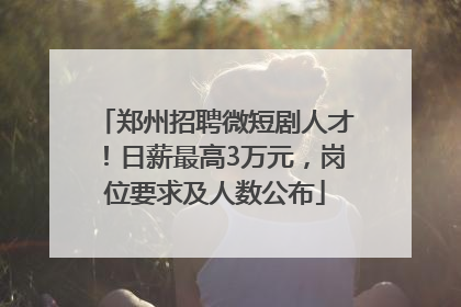 郑州招聘微短剧人才！日薪最高3万元，岗位要求及人数公布
