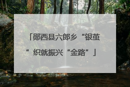 郧西县六郎乡“银茧”织就振兴“金路”