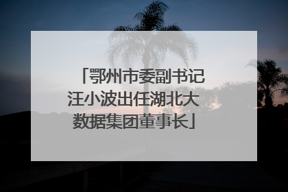 鄂州市委副书记汪小波出任湖北大数据集团董事长