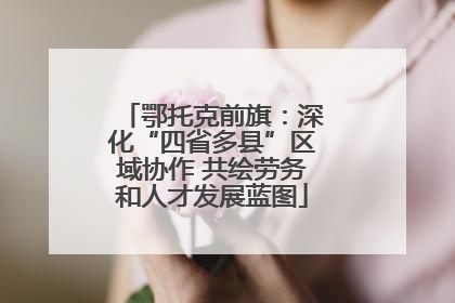 鄂托克前旗：深化“四省多县”区域协作 共绘劳务和人才发展蓝图