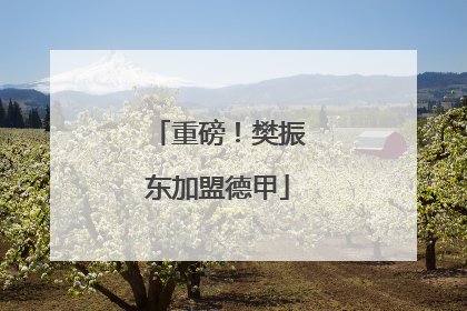 重磅！樊振东加盟德甲