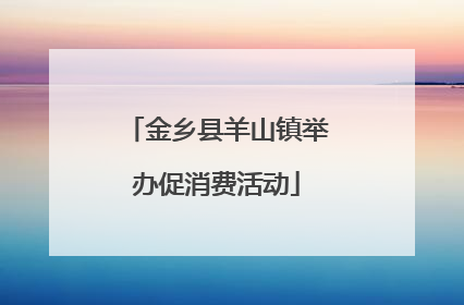 金乡县羊山镇举办促消费活动