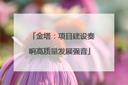 金塔：项目建设奏响高质量发展强音