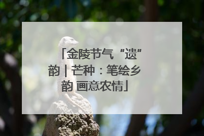 金陵节气“遗”韵｜芒种：笔绘乡韵 画意农情