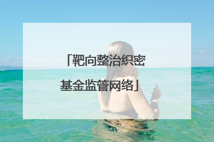 靶向整治织密基金监管网络