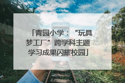 青园小学：“玩具梦工厂”跨学科主题学习成果闪耀校园