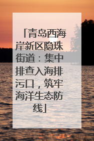 青岛西海岸新区隐珠街道：集中排查入海排污口，筑牢海洋生态防线