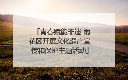 青春赋能非遗 雨花区开展文化遗产宣传和保护主题活动