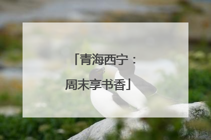 青海西宁：周末享书香