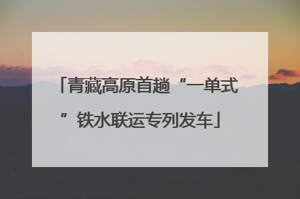 青藏高原首趟“一单式”铁水联运专列发车