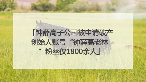 钟薛高子公司被申请破产 创始人账号“钟薛高老林”粉丝仅1800余人