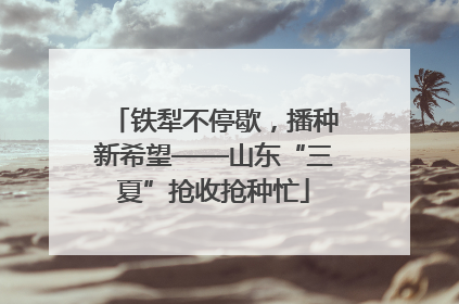 铁犁不停歇，播种新希望——山东“三夏”抢收抢种忙