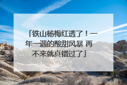 铁山杨梅红透了！一年一遇的酸甜风暴 再不来就真错过了