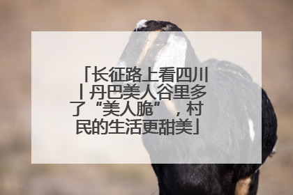 长征路上看四川丨丹巴美人谷里多了“美人脆”，村民的生活更甜美