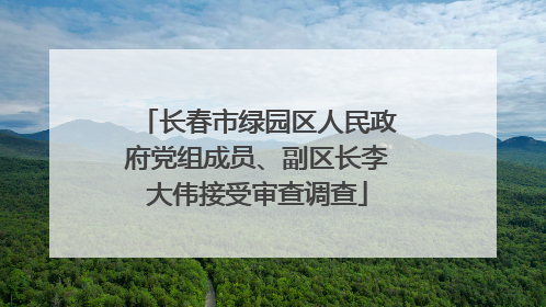 长春市绿园区人民政府党组成员、副区长李大伟接受审查调查