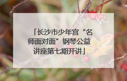 长沙市少年宫“名师面对面”钢琴公益讲座第七期开讲