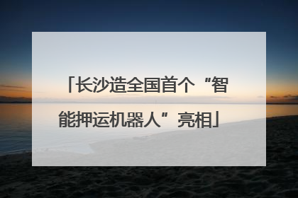 长沙造全国首个“智能押运机器人”亮相